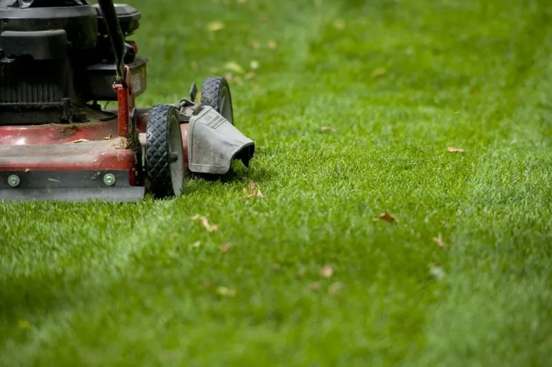 Professional landscaping services experts serving Rome, PA - Trim Cut And Mow