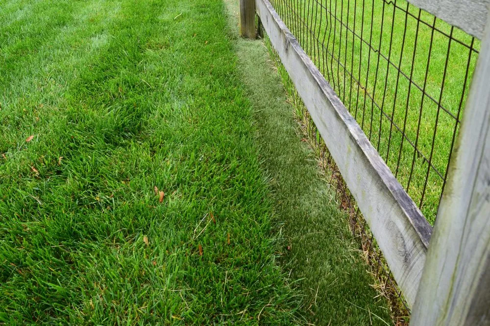 Affordable residential landscaping in Brookville, IN by Trim Free Borders