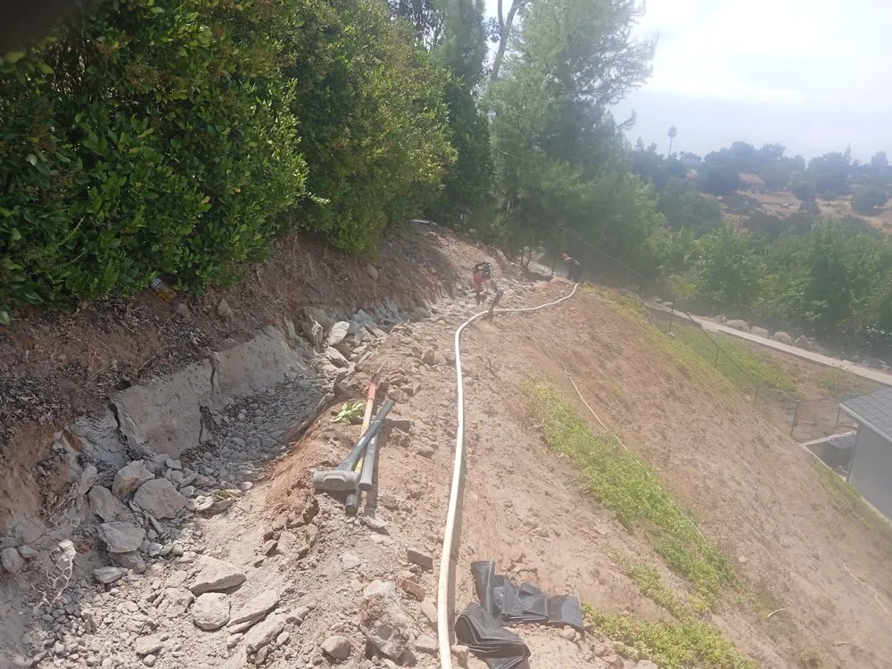 Top-rated yard cleanup service experts serving Santee, CA - Trim It Landscape