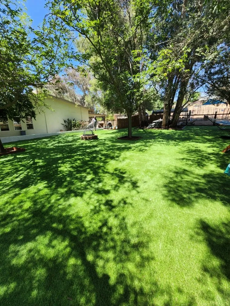 Custom lawn care service for beautiful yards across Santee, CA - Trim It Landscape