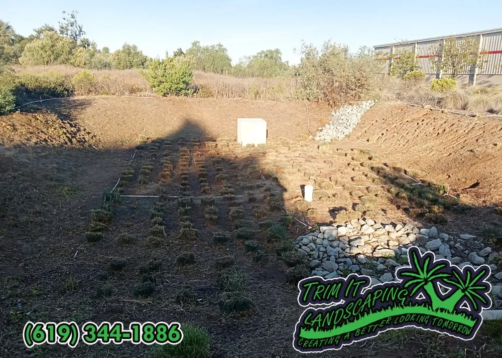 Reliable lawn mowing service experts serving Santee, CA - Trim It Landscape