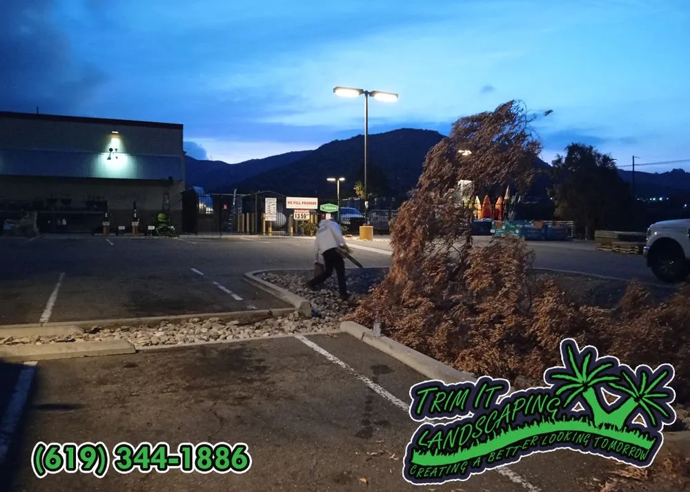 Professional lawn care service in Santee, CA - Trim It Landscape