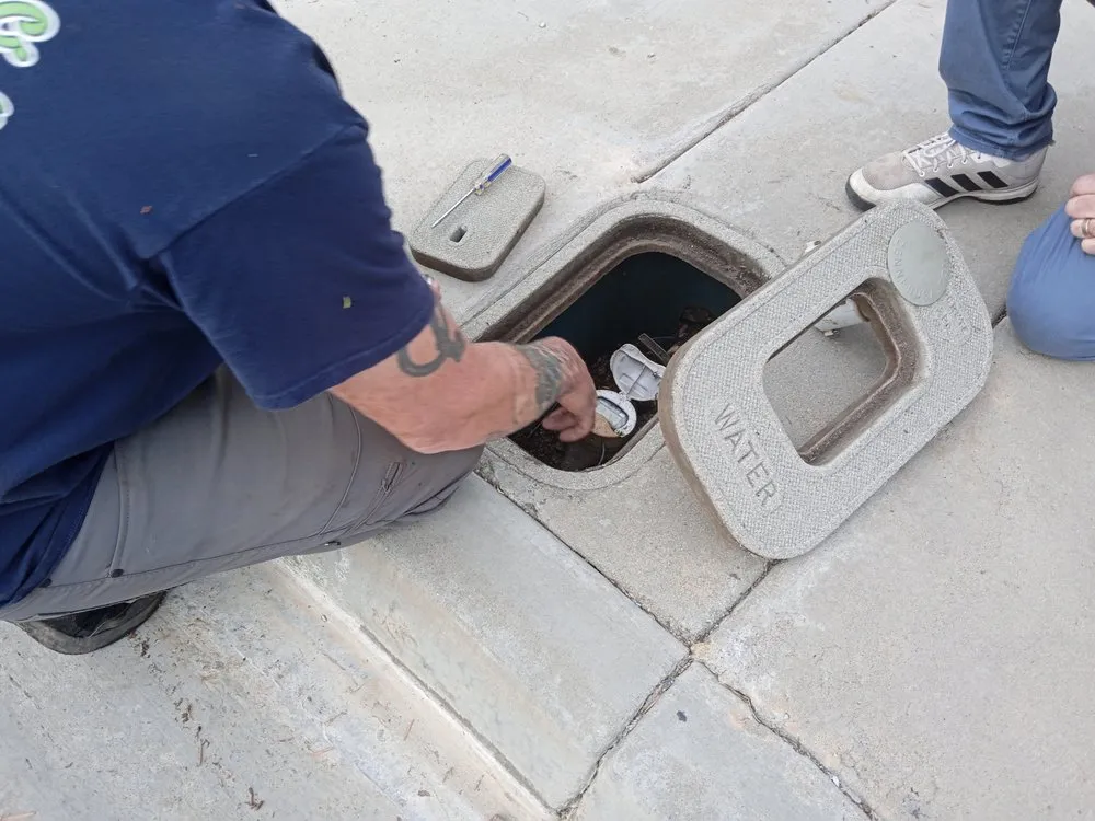 Trusted yard cleanup service in Santee, CA by Trim It Landscape