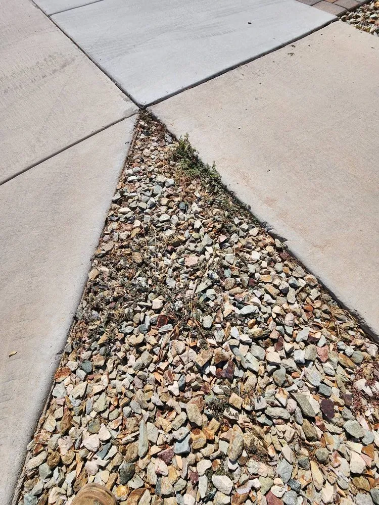 Top-rated residential landscaping near you in Tampa Bay, FL by Trim Landscaping