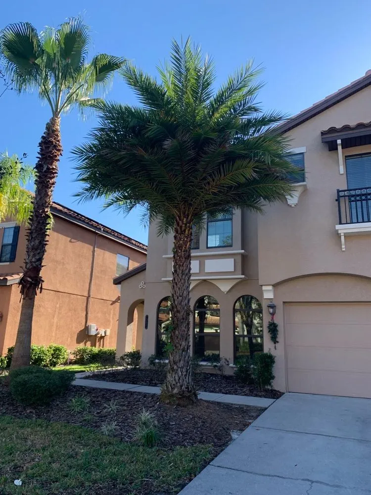 Trusted landscaping services experts serving Tampa Bay, FL - Trim Landscaping