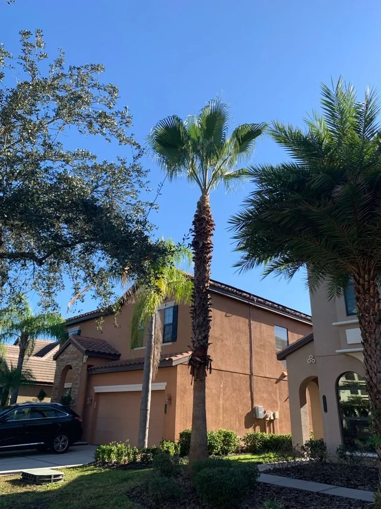 Reliable landscape installation for outdoor upgrades in Tampa Bay, FL by Trim Landscaping