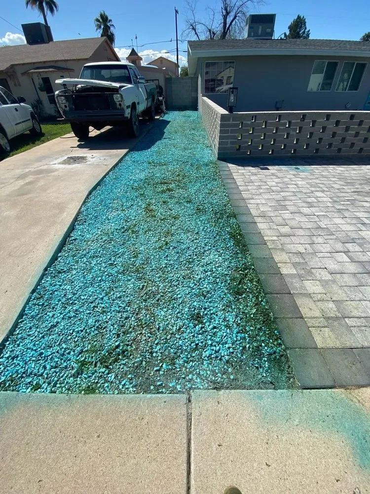 Custom lawn care service for beautiful yards in Tampa Bay, FL by Trim Landscaping