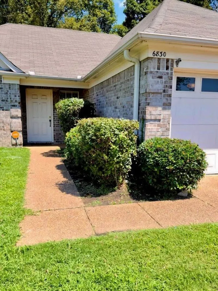 Top-rated garden landscaping in Tampa Bay, FL by Trim Landscaping