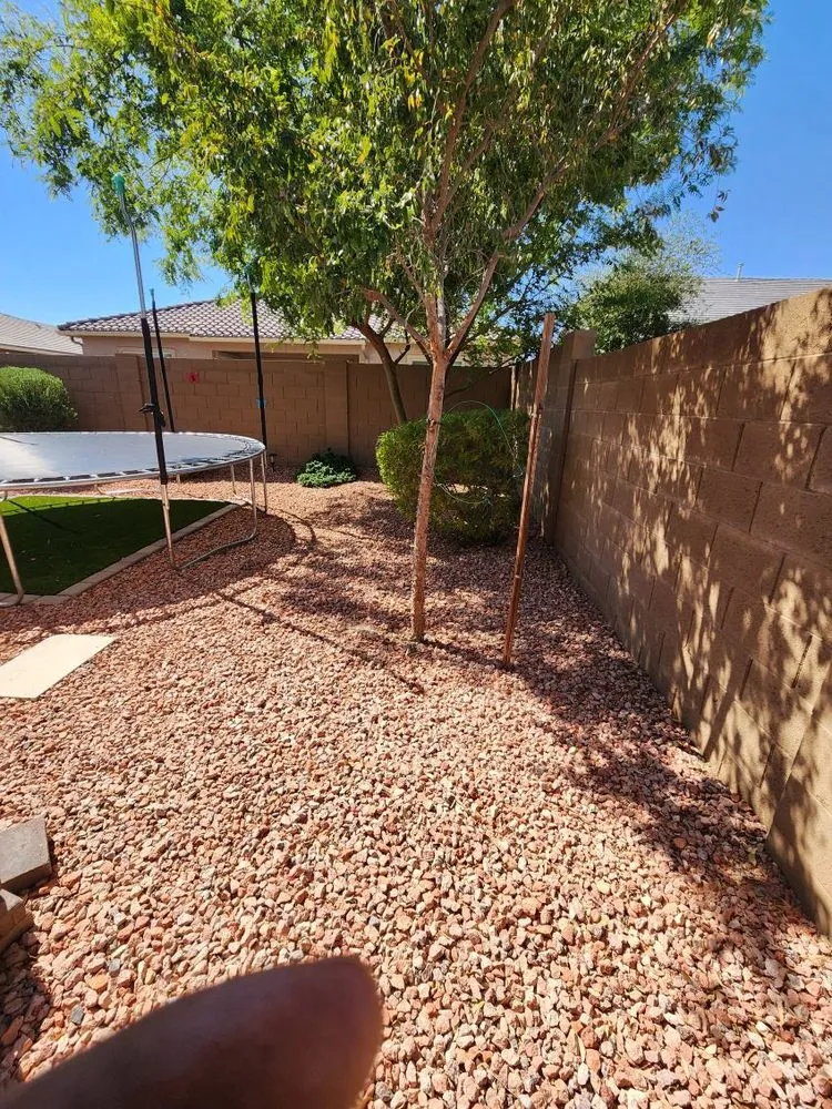 Custom landscape installation in Tampa Bay, FL - Trim Landscaping