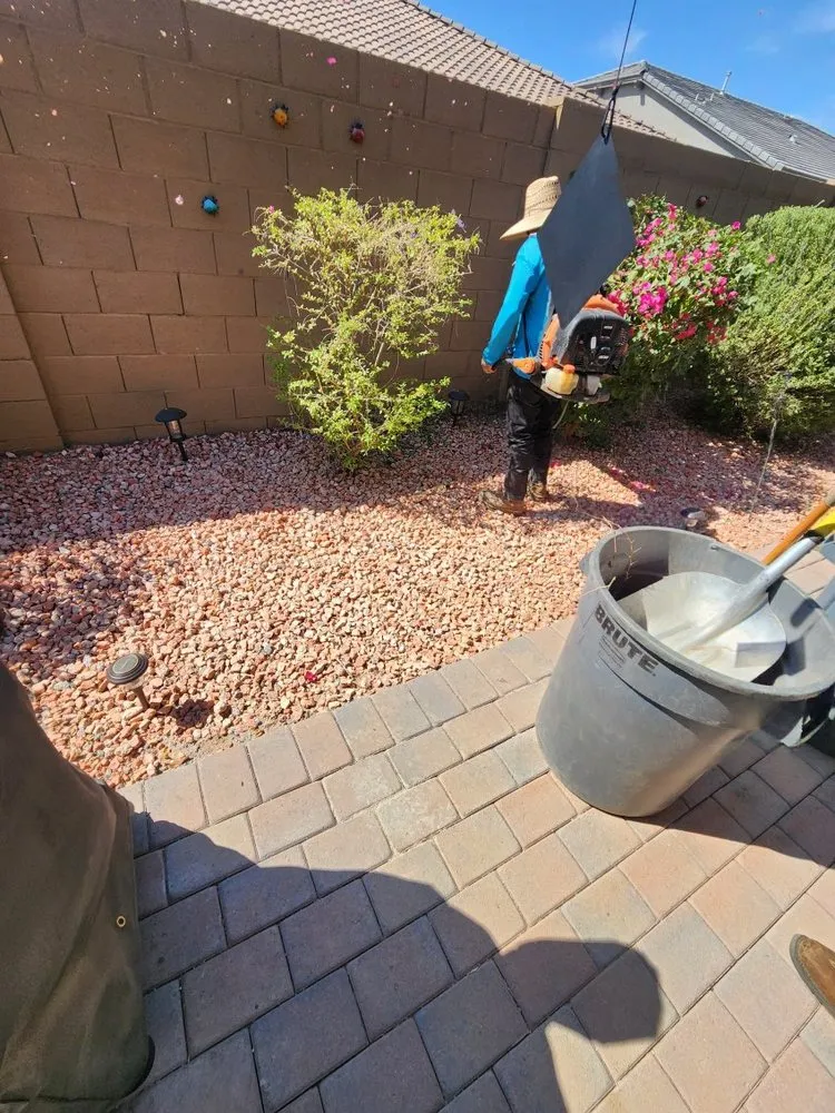 Affordable landscape design in Tampa Bay, FL by Trim Landscaping