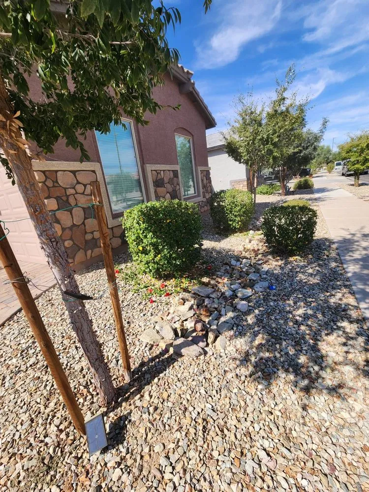 Affordable landscaping services in Tampa Bay, FL by Trim Landscaping