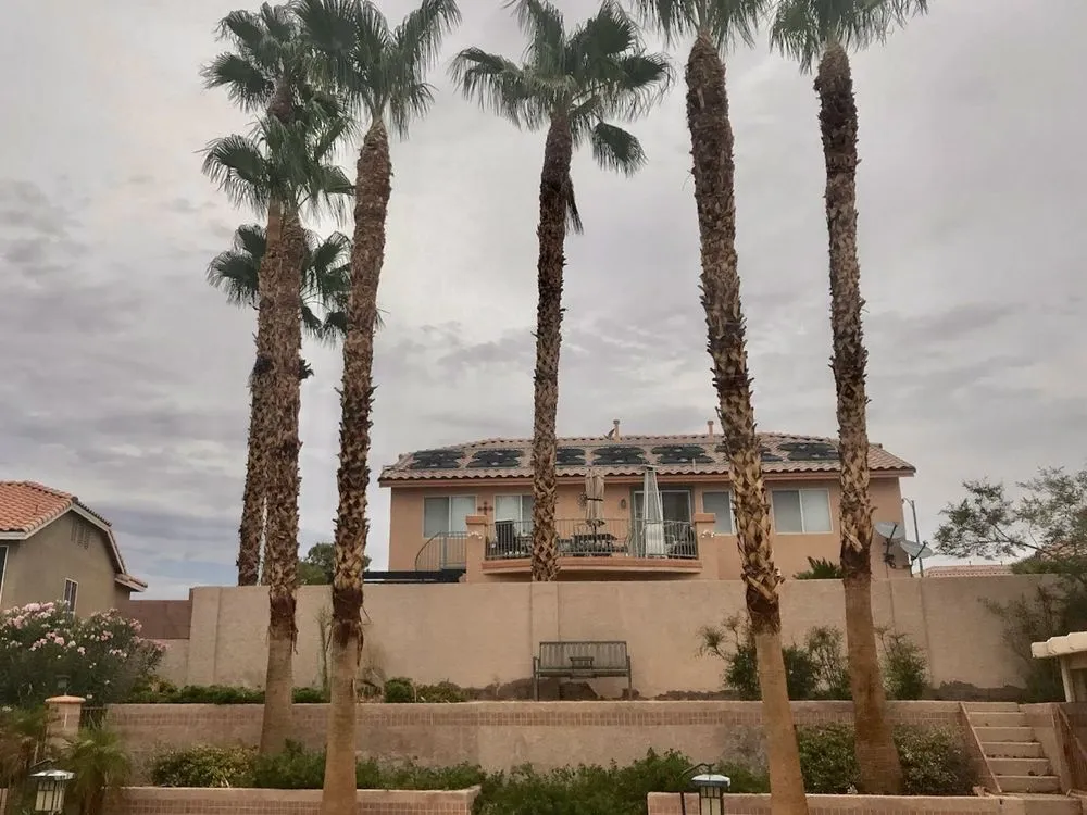 Reliable yard maintenance in Tampa Bay, FL - Trim Landscaping