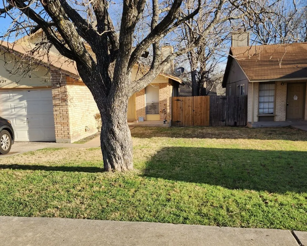 Trusted yard cleanup service in Tampa Bay, FL - Trim Landscaping