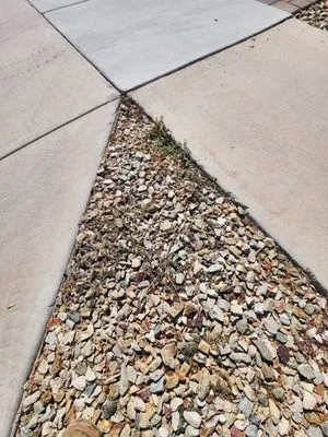 Trim Landscaping Logo