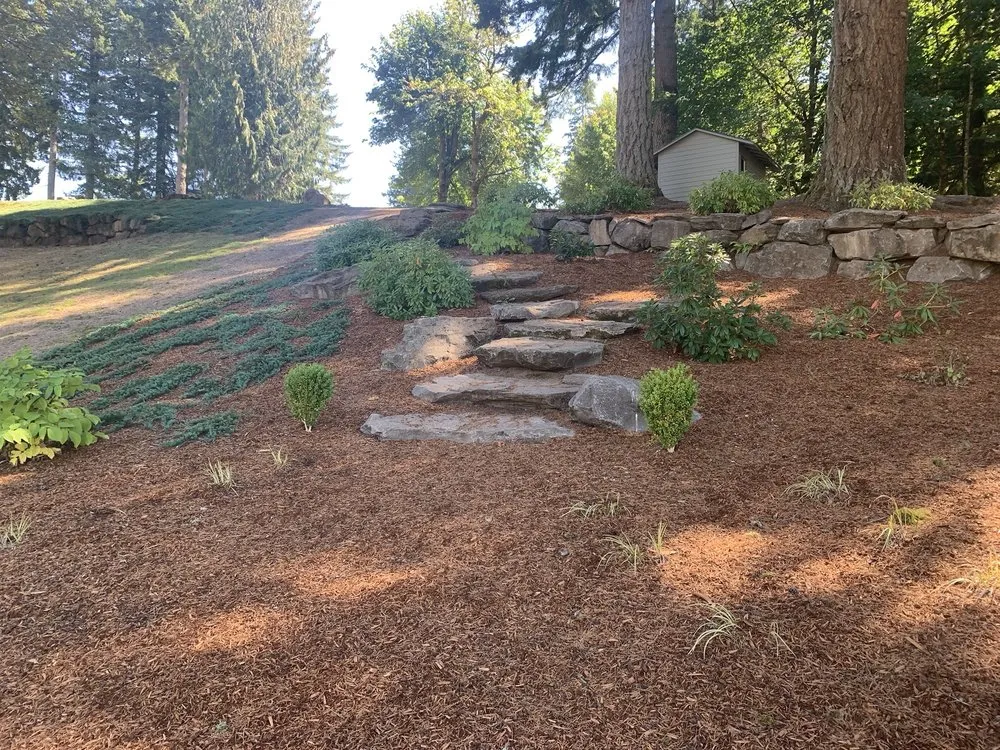 Local yard cleanup service for year-round maintenance across Washougal, WA - Trim Landscaping