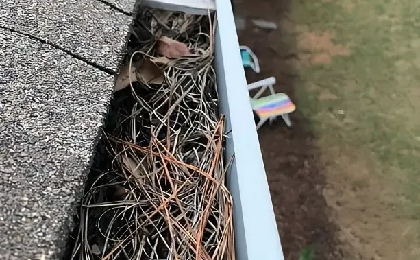 Trusted landscape installation experts serving Topsham, ME - Trim Line Lawn Care