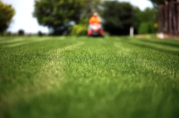 Top-rated landscape design in Topsham, ME - Trim Line Lawn Care