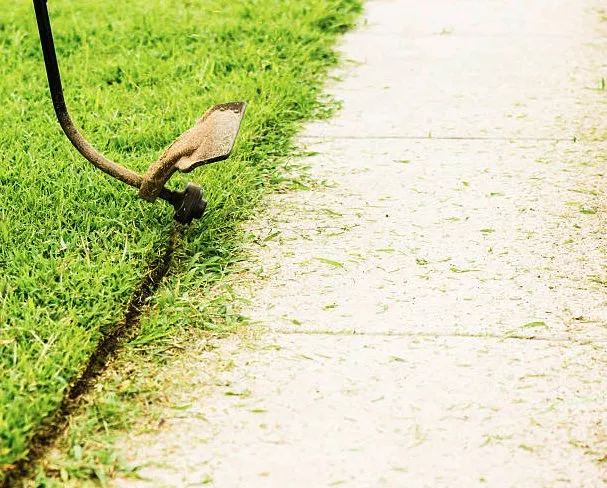 Expert yard cleanup service near you in Topsham, ME by Trim Line Lawn Care