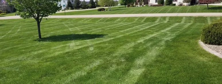 Professional residential landscaping in Topsham, ME - Trim Line Lawn Care