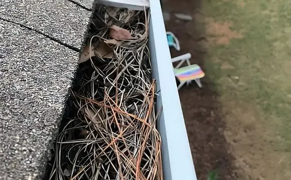 Trim Line Lawn Care Logo