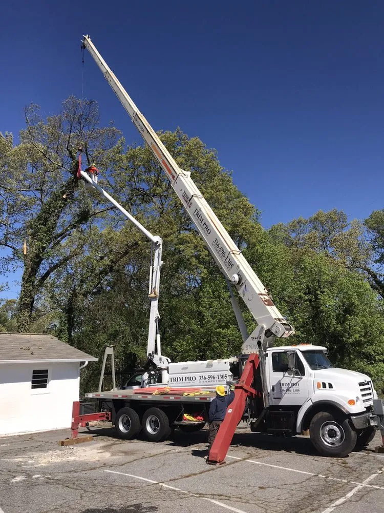 Trusted yard cleanup service with custom design across High Point, NC - Trim Pro Tree & Landscaping