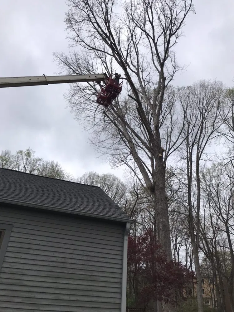 Affordable landscape design for homes in High Point, NC by Trim Pro Tree & Landscaping