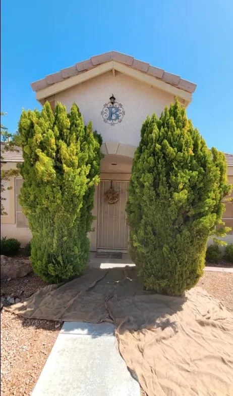 Professional yard cleanup service near you in Las Vegas, NV by Trim Right Palms