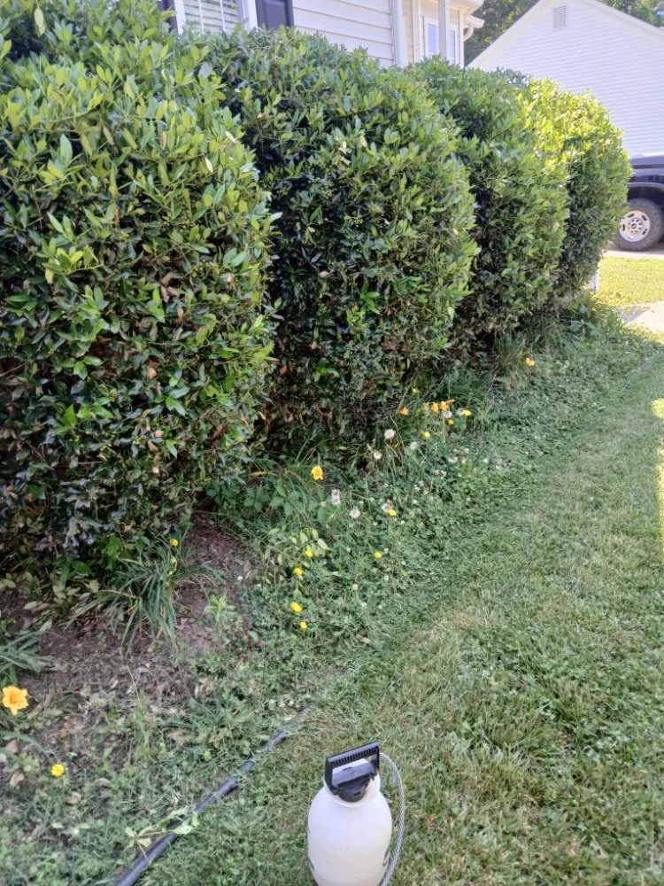 Top-rated landscaping services experts serving Raleigh, NC - Trim Source