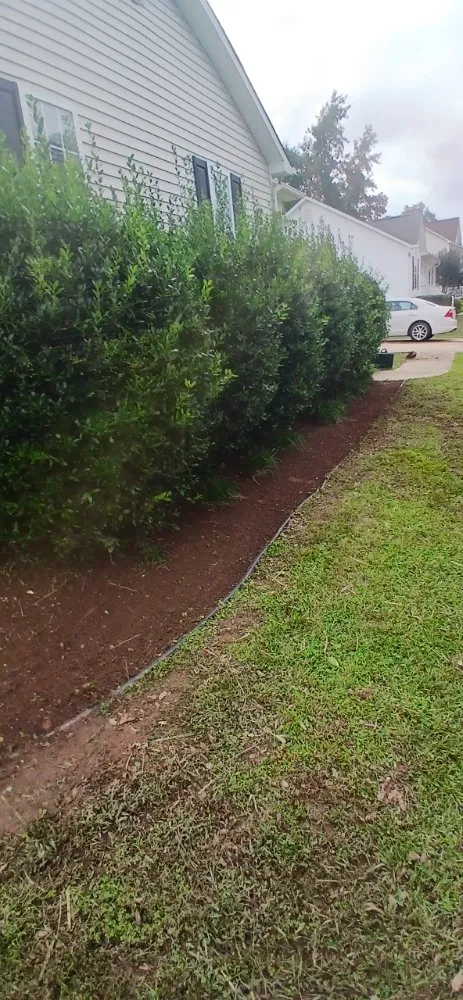 Professional yard cleanup service for year-round maintenance across Raleigh, NC - Trim Source