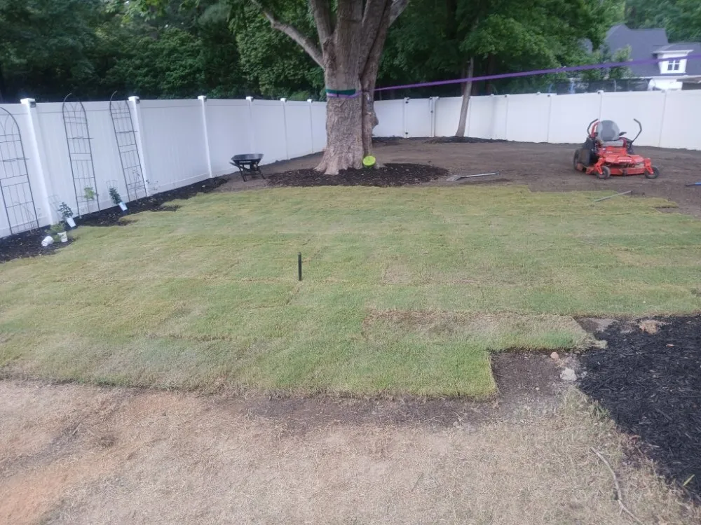 Affordable yard cleanup service for outdoor upgrades across Raleigh, NC - Trim Source