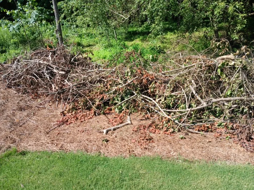 Top-rated yard cleanup service in Raleigh, NC - Trim Source