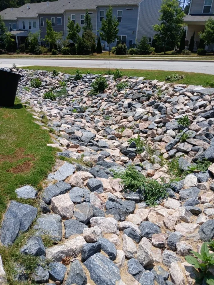 Top-rated garden landscaping experts serving Raleigh, NC - Trim Source