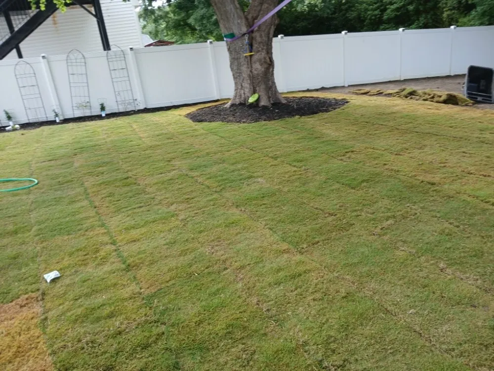 Top-rated lawn mowing service for homes in Raleigh, NC by Trim Source