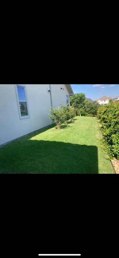 Custom yard cleanup service in Weatherford, TX - Trim Stars