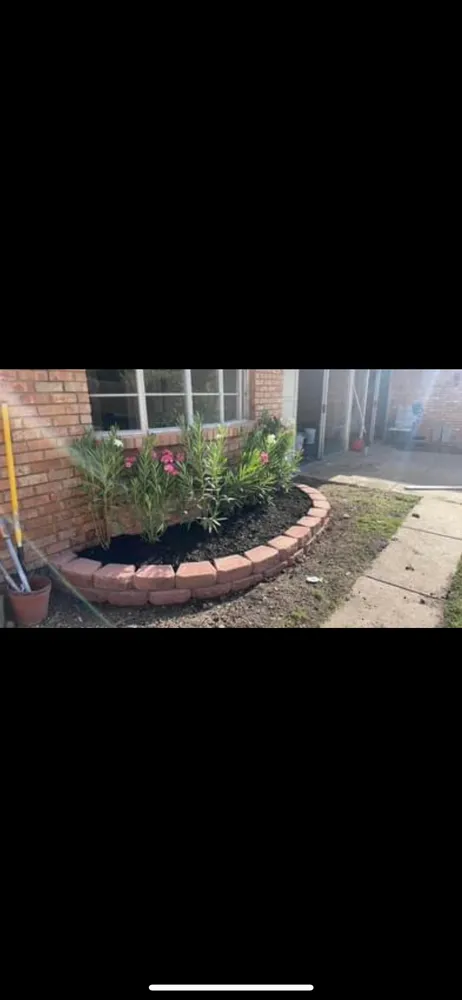 Top-rated yard cleanup service experts serving Weatherford, TX - Trim Stars