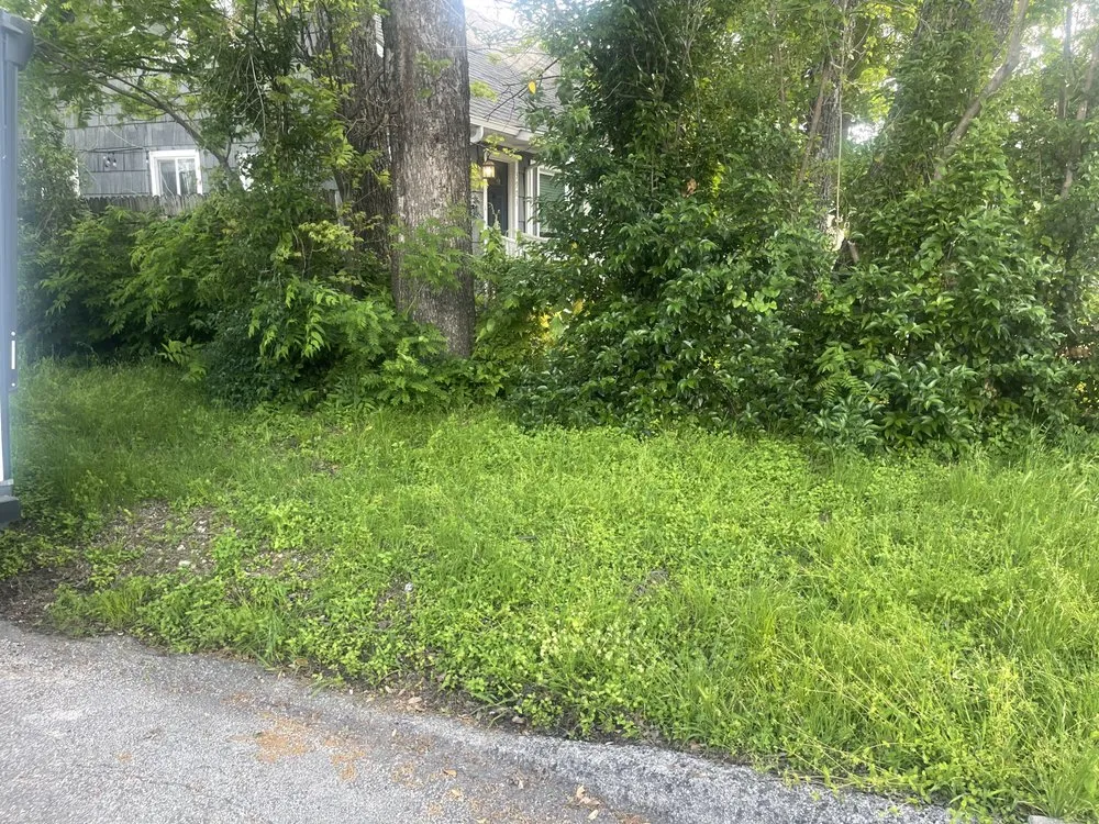 Professional yard cleanup service near you in Fort Worth, TX by Trim Tags Lawn & Landscape