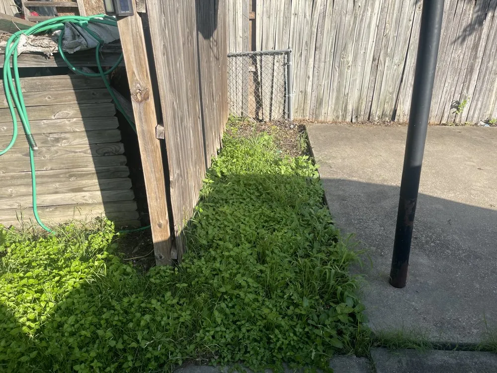 Affordable outdoor landscaping for residential properties across Fort Worth, TX - Trim Tags Lawn & Landscape