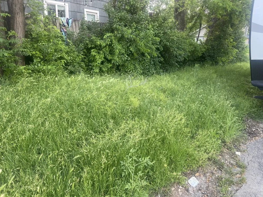 Expert lawn care service for year-round maintenance across Fort Worth, TX - Trim Tags Lawn & Landscape