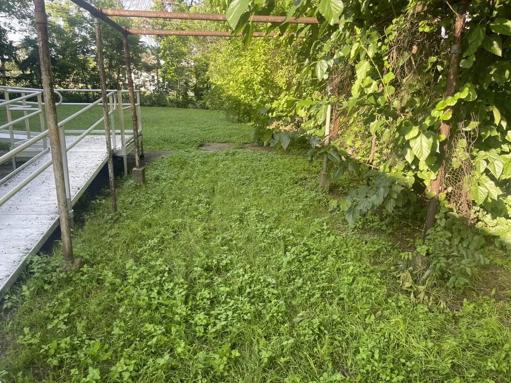 Expert residential landscaping with custom design in Fort Worth, TX by Trim Tags Lawn & Landscape