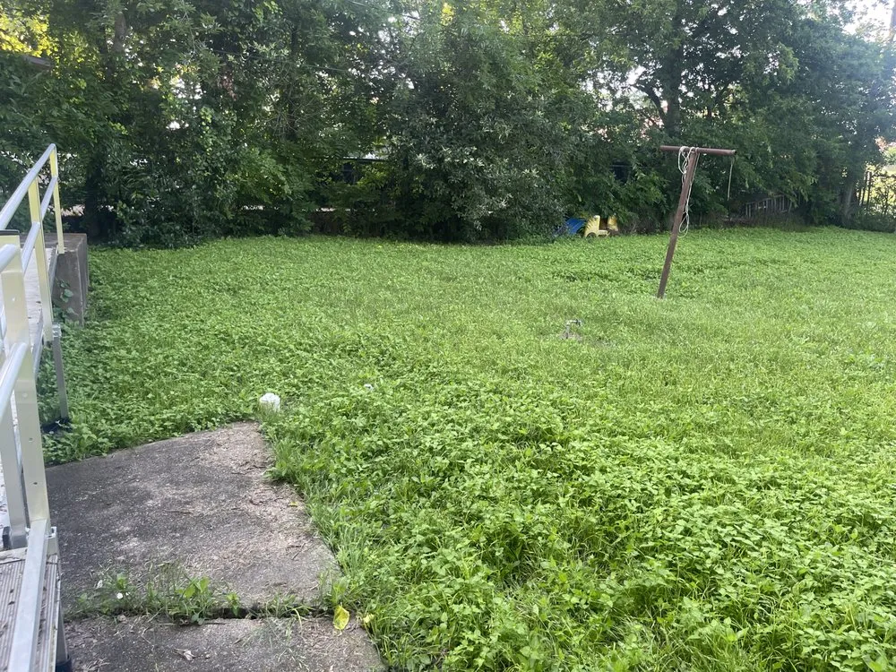 Expert yard cleanup service with custom design in Fort Worth, TX by Trim Tags Lawn & Landscape