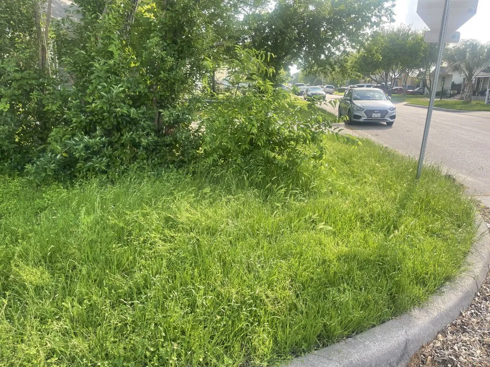 Trusted landscape design in Fort Worth, TX by Trim Tags Lawn & Landscape