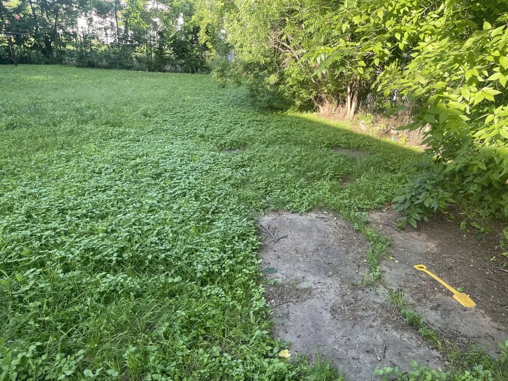 Expert landscape design near you across Fort Worth, TX - Trim Tags Lawn & Landscape