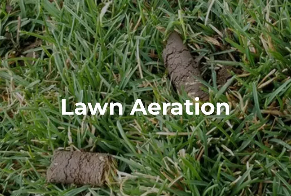 Expert residential landscaping with custom design in Provo, UT by Trim Time Lawn Care