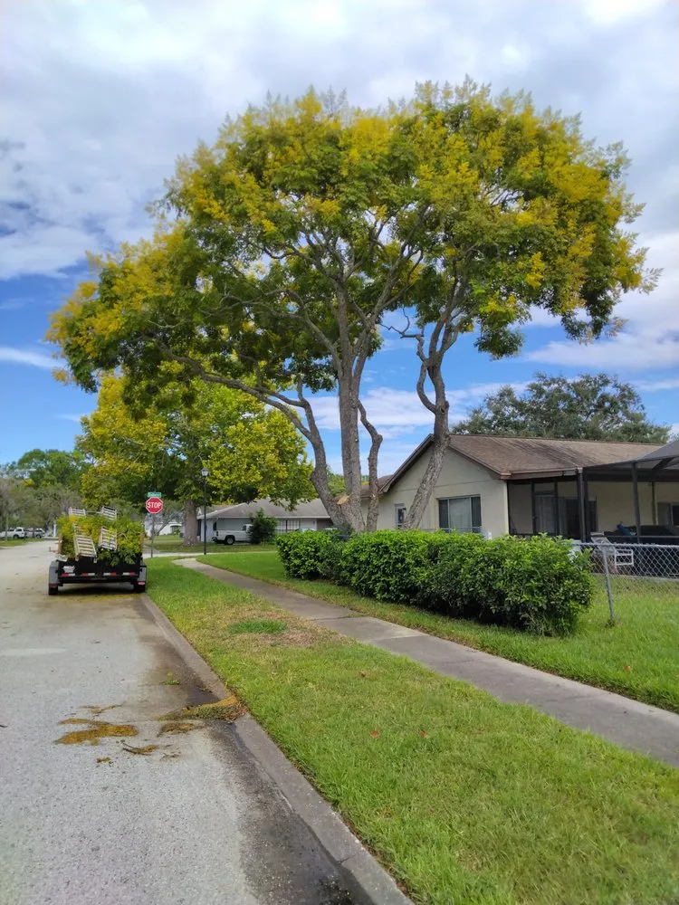 Affordable landscape installation for outdoor upgrades in New Port Richey, FL by Trim Time Tree Service