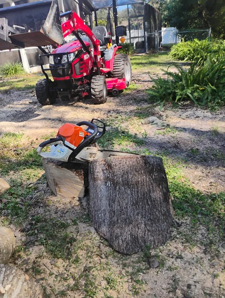 Local landscaping services in New Port Richey, FL - Trim Time Tree Service