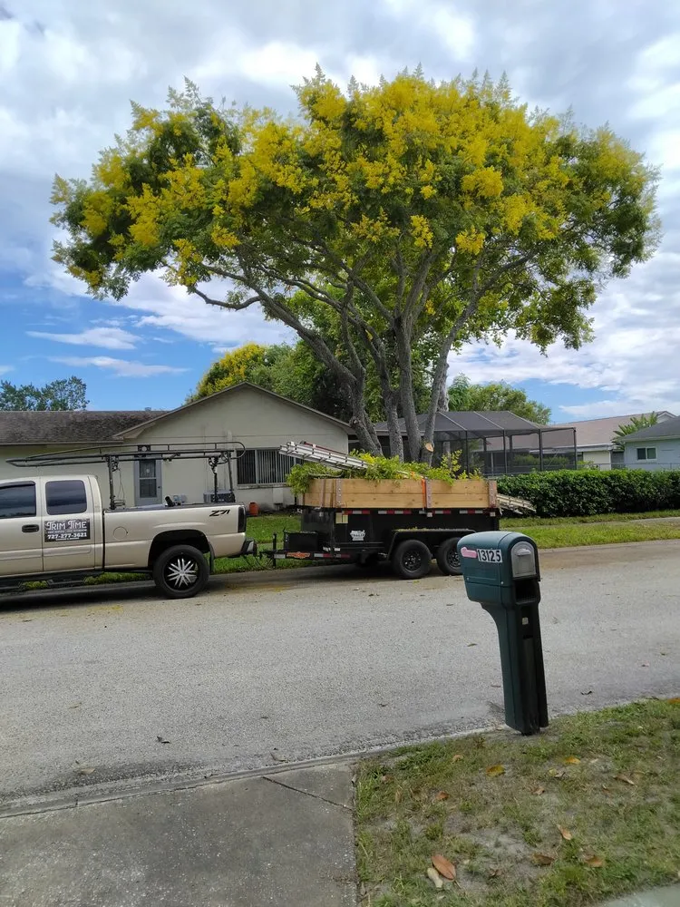 Custom landscape installation in New Port Richey, FL - Trim Time Tree Service