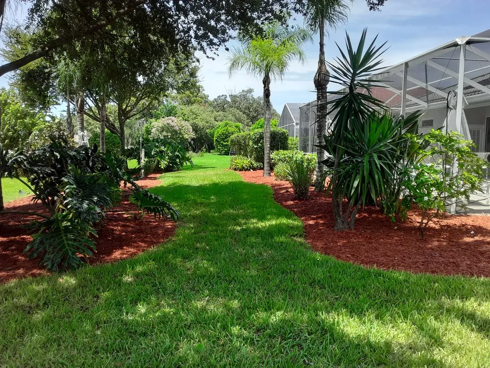 Trusted outdoor landscaping in New Port Richey, FL - Trim Time Tree Service