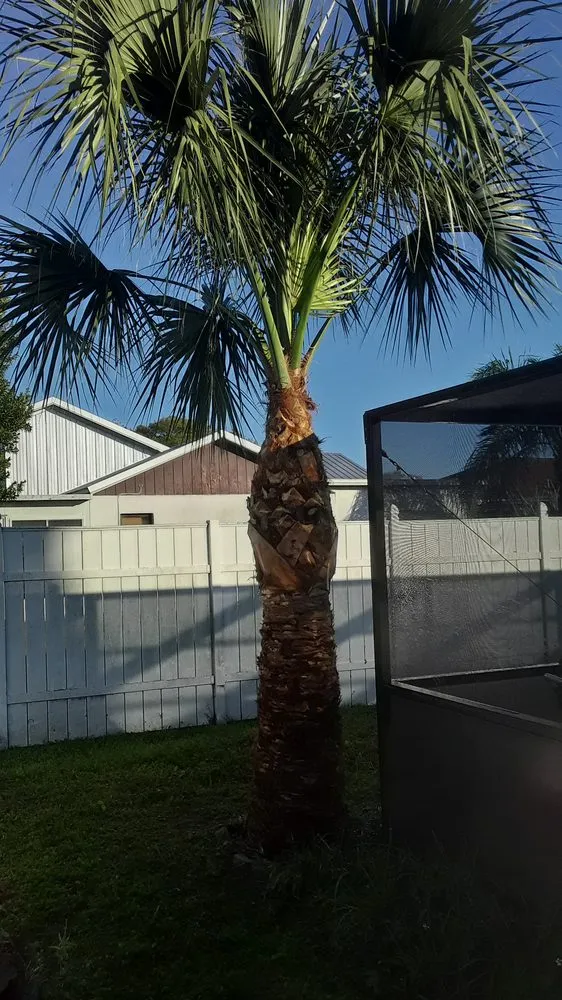 Local garden landscaping for beautiful yards across New Port Richey, FL - Trim Time Tree Service