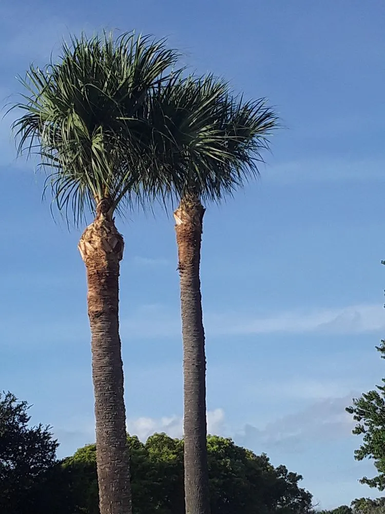 Top-rated landscaping services in New Port Richey, FL - Trim Time Tree Service