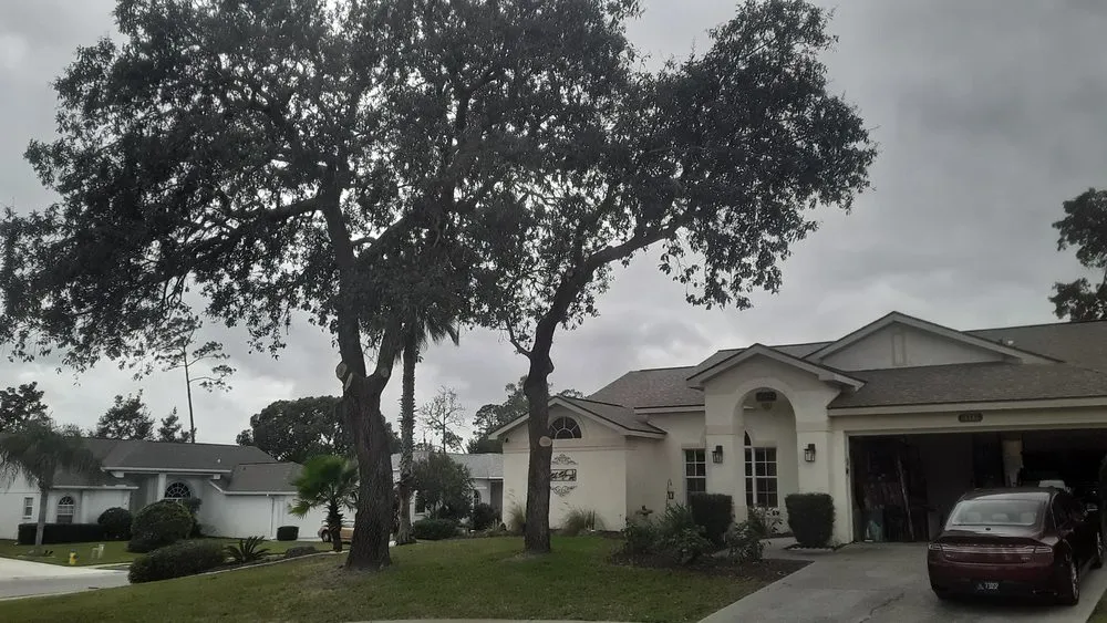 Professional yard maintenance in New Port Richey, FL - Trim Time Tree Service
